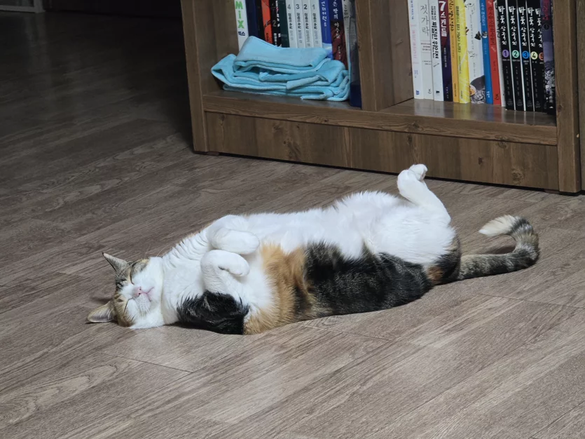 게시글 이미지