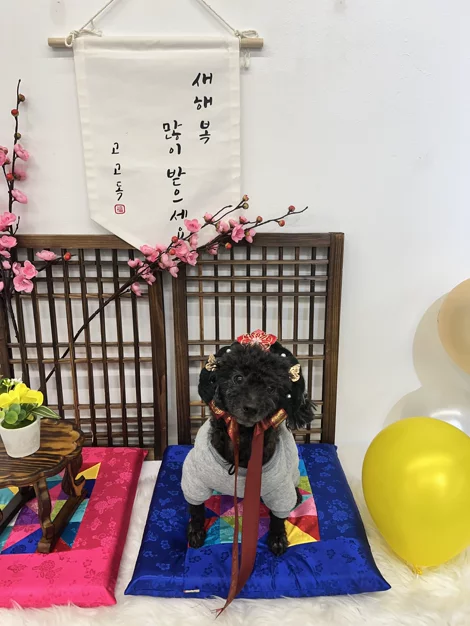 게시글 이미지