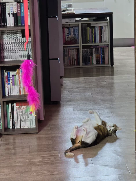 게시글 이미지