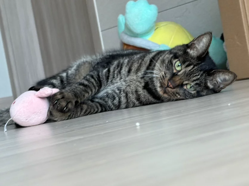 게시글 이미지
