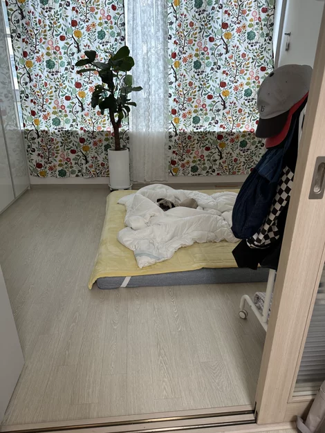 게시글 이미지