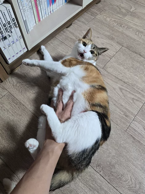 게시글 이미지