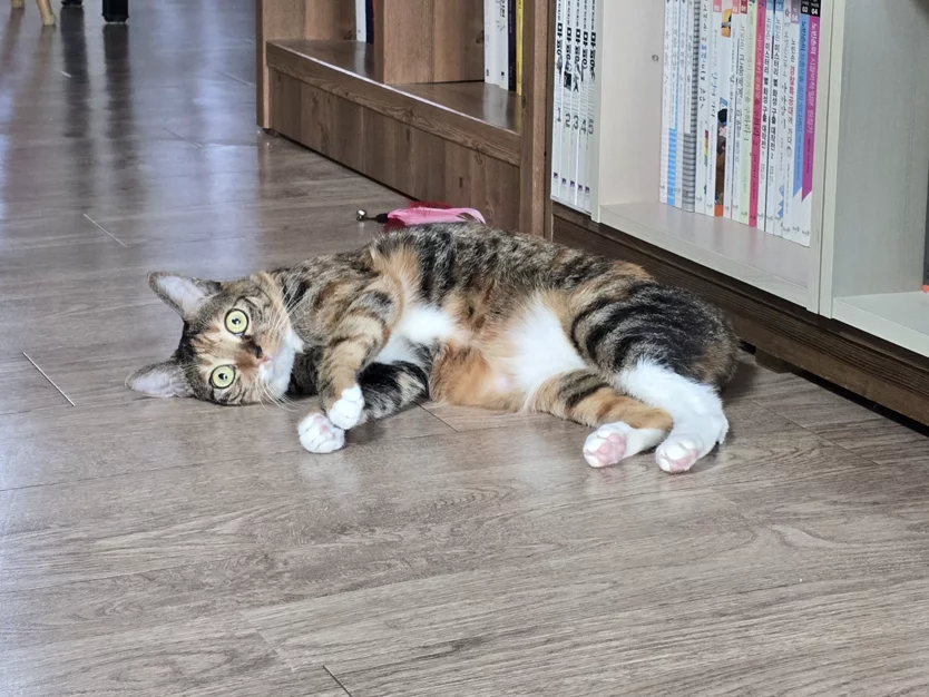 게시글 이미지