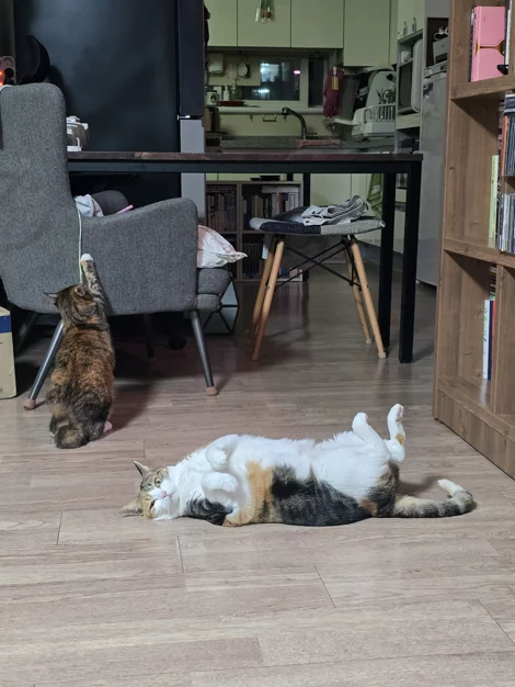 게시글 이미지