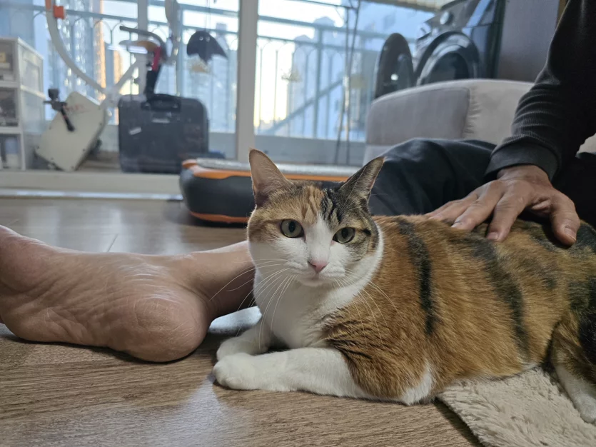 게시글 이미지