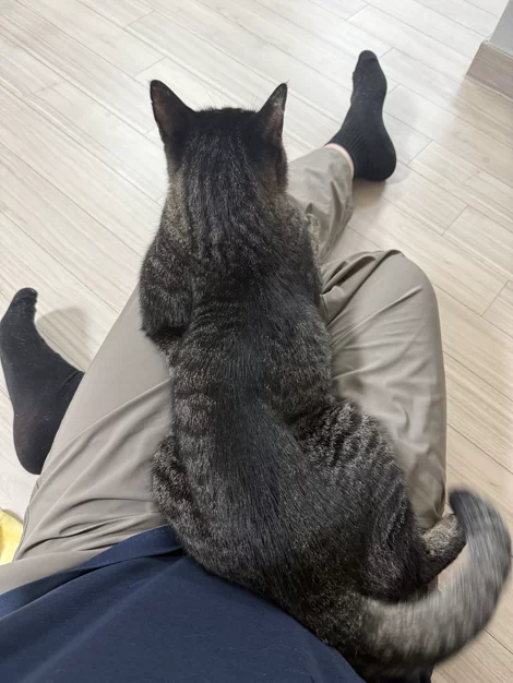 게시글 이미지