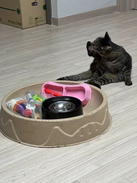 게시글 이미지