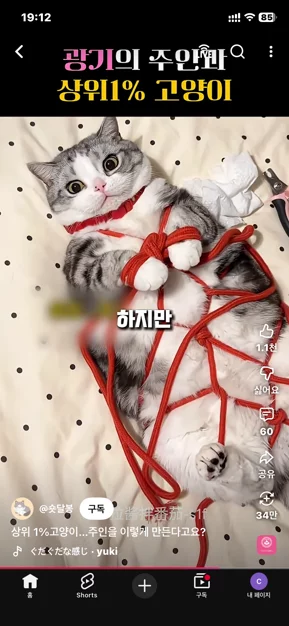 게시글 이미지