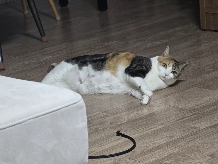 게시글 이미지