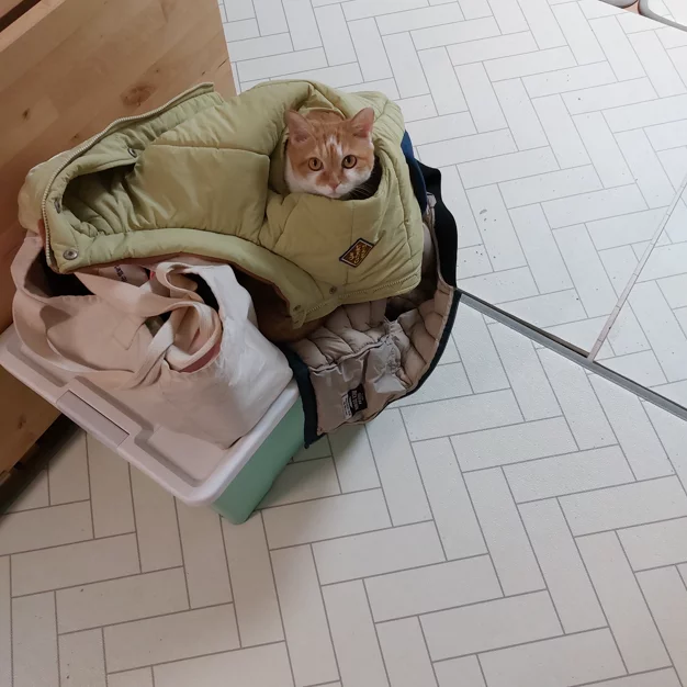 게시글 이미지