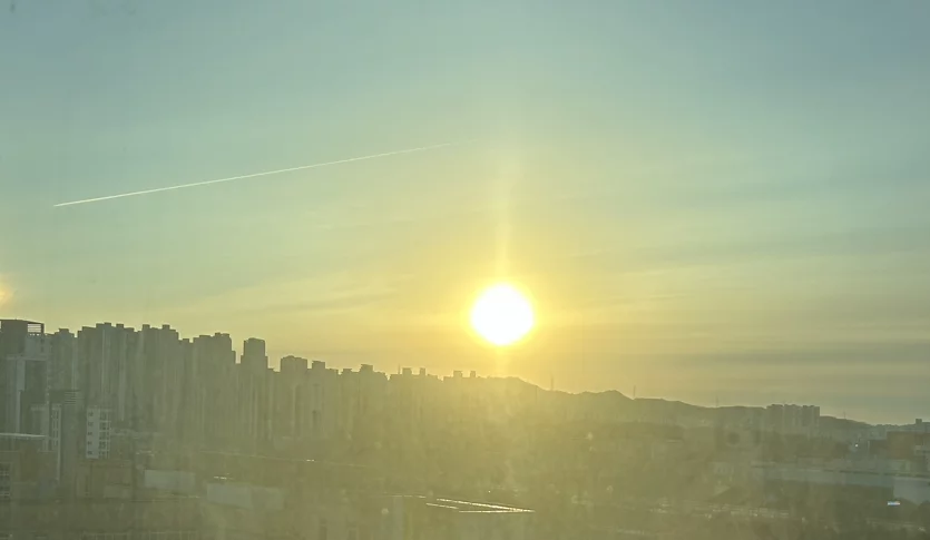 게시글 이미지