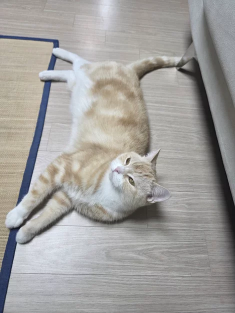 게시글 이미지