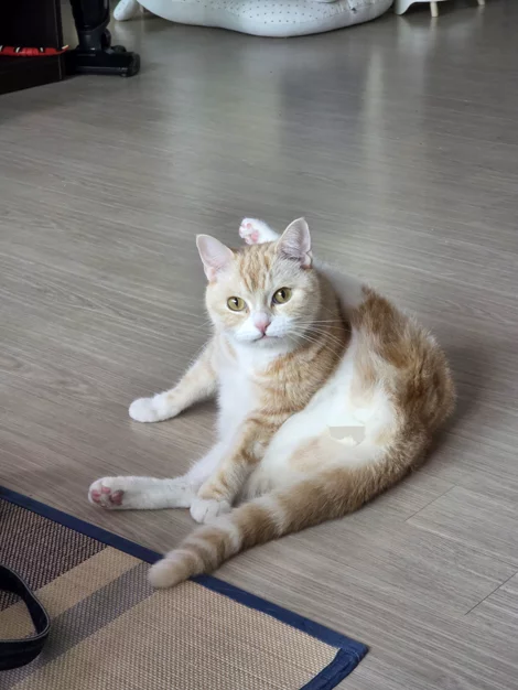 게시글 이미지