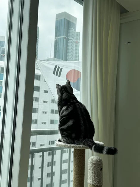 게시글 이미지