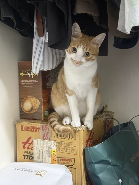 게시글 이미지
