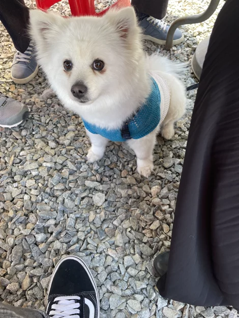 게시글 이미지