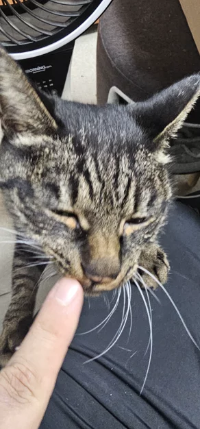 게시글 이미지