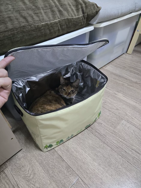 게시글 이미지