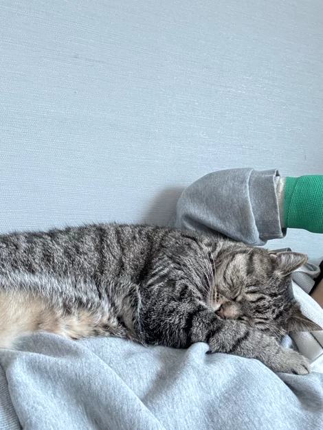 게시글 이미지