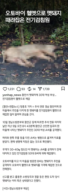 게시글 이미지