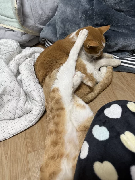 게시글 이미지